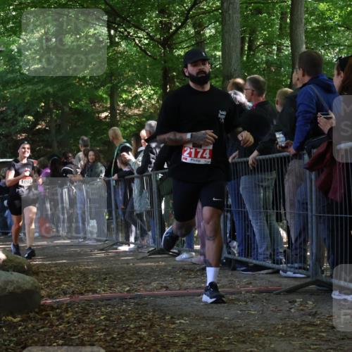 28.09.2025 - 33. Volkslauf durch das schöne Alstertal Strokosch-Dieckow http://msf.ph/oto/8973445 28.09.2025 12:17:53 Ziel 1091, 1740, 2174 meine-sportfotos.de
