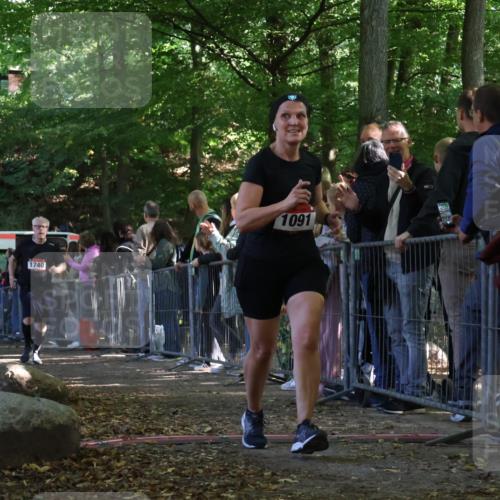 28.09.2025 - 33. Volkslauf durch das schöne Alstertal Strokosch-Dieckow http://msf.ph/oto/8973448 28.09.2025 12:17:57 Ziel 1091, 1740, 2509, 2542, 2594 meine-sportfotos.de