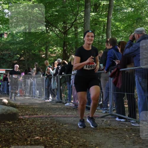 28.09.2025 - 33. Volkslauf durch das schöne Alstertal Strokosch-Dieckow http://msf.ph/oto/8973449 28.09.2025 12:17:57 Ziel 1091, 1740, 2509, 2542, 2594 meine-sportfotos.de