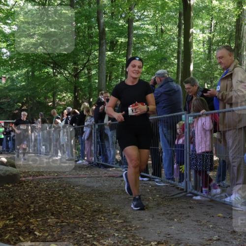 28.09.2025 - 33. Volkslauf durch das schöne Alstertal Strokosch-Dieckow http://msf.ph/oto/8973450 28.09.2025 12:17:58 Ziel 1740, 2509, 2542, 2594 meine-sportfotos.de