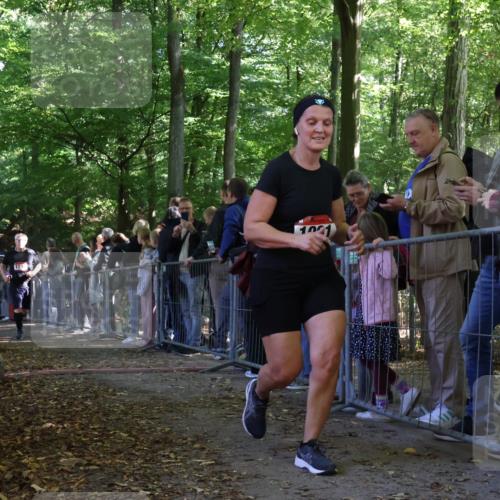 28.09.2025 - 33. Volkslauf durch das schöne Alstertal Strokosch-Dieckow http://msf.ph/oto/8973451 28.09.2025 12:17:58 Ziel 1740, 2509, 2542, 2594 meine-sportfotos.de