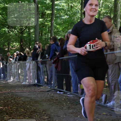 28.09.2025 - 33. Volkslauf durch das schöne Alstertal Strokosch-Dieckow http://msf.ph/oto/8973452 28.09.2025 12:17:59 Ziel 1740, 2509, 2542, 2594 meine-sportfotos.de