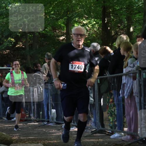 28.09.2025 - 33. Volkslauf durch das schöne Alstertal Strokosch-Dieckow http://msf.ph/oto/8973453 28.09.2025 12:18:00 Ziel 1740, 2346, 2509, 2542, 2594 meine-sportfotos.de