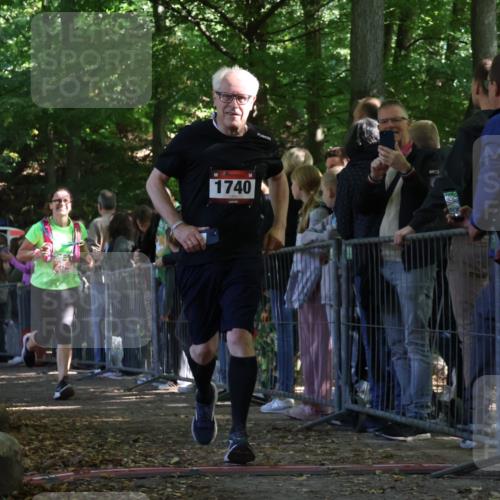 28.09.2025 - 33. Volkslauf durch das schöne Alstertal Strokosch-Dieckow http://msf.ph/oto/8973454 28.09.2025 12:18:01 Ziel 1740, 2346, 2509, 2542, 2594 meine-sportfotos.de