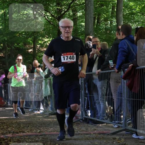 28.09.2025 - 33. Volkslauf durch das schöne Alstertal Strokosch-Dieckow http://msf.ph/oto/8973455 28.09.2025 12:18:01 Ziel 1740, 2346, 2509, 2542, 2594 meine-sportfotos.de