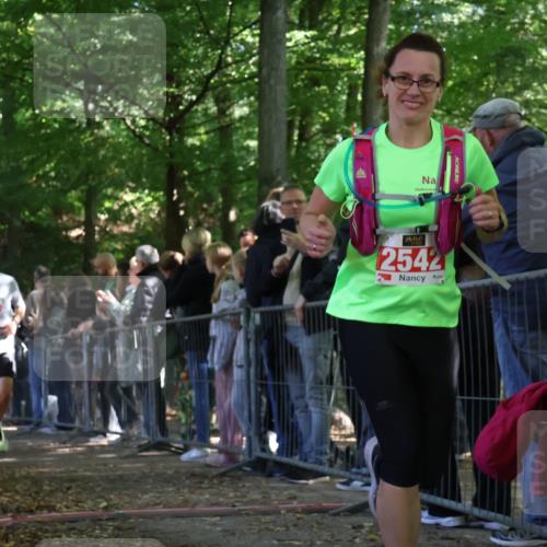 28.09.2025 - 33. Volkslauf durch das schöne Alstertal Strokosch-Dieckow http://msf.ph/oto/8973459 28.09.2025 12:18:04 Ziel 2279, 2280, 2344, 2346, 2509, 2542, 2594 meine-sportfotos.de