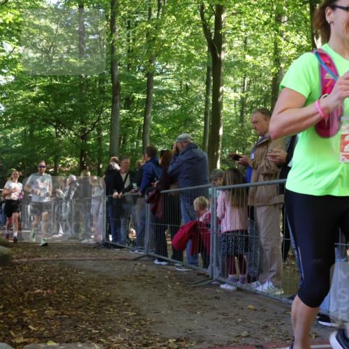 28.09.2025 - 33. Volkslauf durch das schöne Alstertal Strokosch-Dieckow http://msf.ph/oto/8973461 28.09.2025 12:18:05 Ziel 2279, 2280, 2344, 2346, 2509, 2594 meine-sportfotos.de