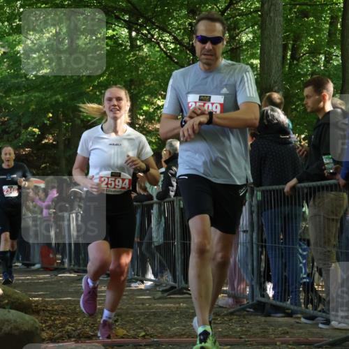 28.09.2025 - 33. Volkslauf durch das schöne Alstertal Strokosch-Dieckow http://msf.ph/oto/8973463 28.09.2025 12:18:06 Ziel 2279, 2280, 2344, 2346, 2509, 2594 meine-sportfotos.de