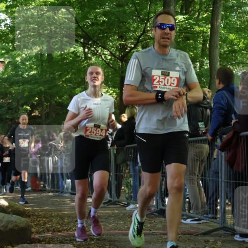 28.09.2025 - 33. Volkslauf durch das schöne Alstertal Strokosch-Dieckow http://msf.ph/oto/8973464 28.09.2025 12:18:07 Ziel 2279, 2280, 2344, 2346, 2594 meine-sportfotos.de
