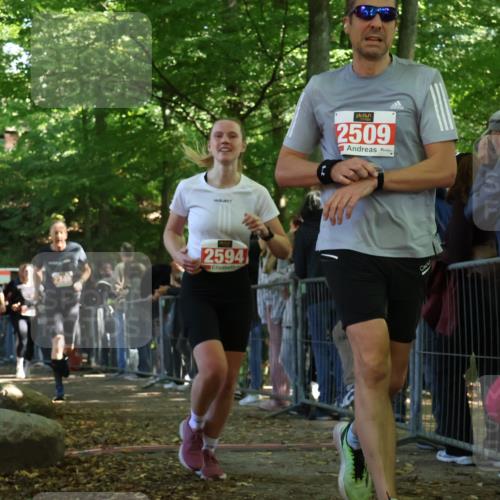 28.09.2025 - 33. Volkslauf durch das schöne Alstertal Strokosch-Dieckow http://msf.ph/oto/8973465 28.09.2025 12:18:07 Ziel 2279, 2280, 2344, 2346, 2594 meine-sportfotos.de