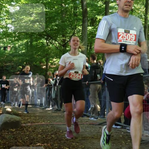 28.09.2025 - 33. Volkslauf durch das schöne Alstertal Strokosch-Dieckow http://msf.ph/oto/8973466 28.09.2025 12:18:07 Ziel 2279, 2280, 2344, 2346, 2594 meine-sportfotos.de