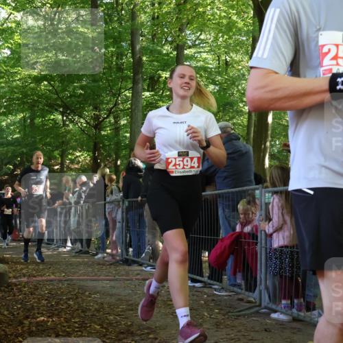 28.09.2025 - 33. Volkslauf durch das schöne Alstertal Strokosch-Dieckow http://msf.ph/oto/8973467 28.09.2025 12:18:08 Ziel 1746, 2141, 2225, 2279, 2280, 2344, 2346 meine-sportfotos.de