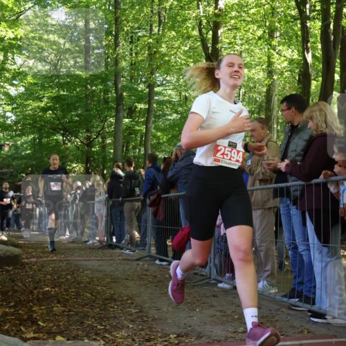 28.09.2025 - 33. Volkslauf durch das schöne Alstertal Strokosch-Dieckow http://msf.ph/oto/8973468 28.09.2025 12:18:08 Ziel 1746, 2141, 2225, 2279, 2280, 2344, 2346 meine-sportfotos.de