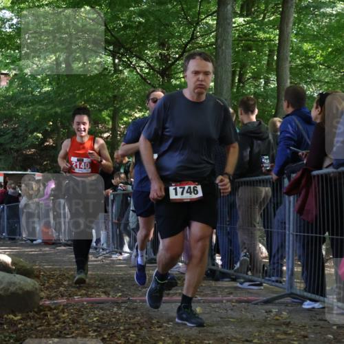 28.09.2025 - 33. Volkslauf durch das schöne Alstertal Strokosch-Dieckow http://msf.ph/oto/8973479 28.09.2025 12:18:17 Ziel 1746, 2140, 2141, 2225 meine-sportfotos.de