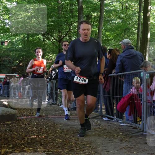 28.09.2025 - 33. Volkslauf durch das schöne Alstertal Strokosch-Dieckow http://msf.ph/oto/8973480 28.09.2025 12:18:18 Ziel 1746, 2140, 2141, 2225 meine-sportfotos.de