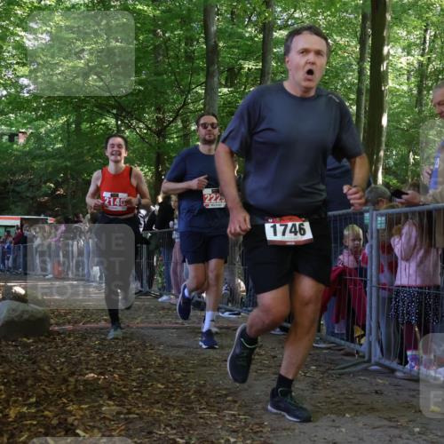 28.09.2025 - 33. Volkslauf durch das schöne Alstertal Strokosch-Dieckow http://msf.ph/oto/8973481 28.09.2025 12:18:18 Ziel 1746, 2140, 2141, 2225 meine-sportfotos.de