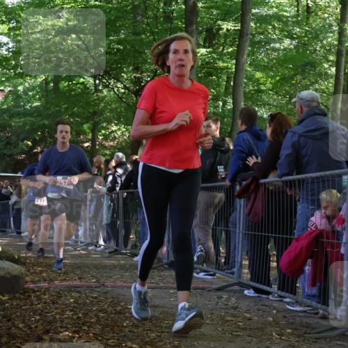 28.09.2025 - 33. Volkslauf durch das schöne Alstertal Strokosch-Dieckow http://msf.ph/oto/8973491 28.09.2025 12:18:27 Ziel 1713, 2497, 2579 meine-sportfotos.de