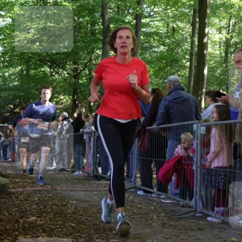 28.09.2025 - 33. Volkslauf durch das schöne Alstertal Strokosch-Dieckow http://msf.ph/oto/8973492 28.09.2025 12:18:28 Ziel 1713, 2497, 2579 meine-sportfotos.de