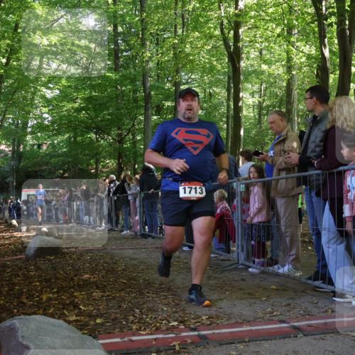 28.09.2025 - 33. Volkslauf durch das schöne Alstertal Strokosch-Dieckow http://msf.ph/oto/8973498 28.09.2025 12:18:31 Ziel 2497 meine-sportfotos.de
