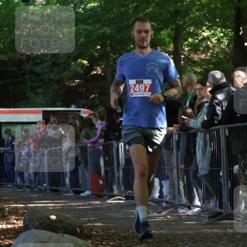 28.09.2025 - 33. Volkslauf durch das schöne Alstertal Strokosch-Dieckow http://msf.ph/oto/8973501 28.09.2025 12:18:34 Ziel 2497 meine-sportfotos.de