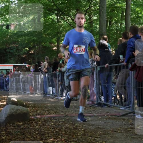 28.09.2025 - 33. Volkslauf durch das schöne Alstertal Strokosch-Dieckow http://msf.ph/oto/8973503 28.09.2025 12:18:36 Ziel 2115, 2497 meine-sportfotos.de