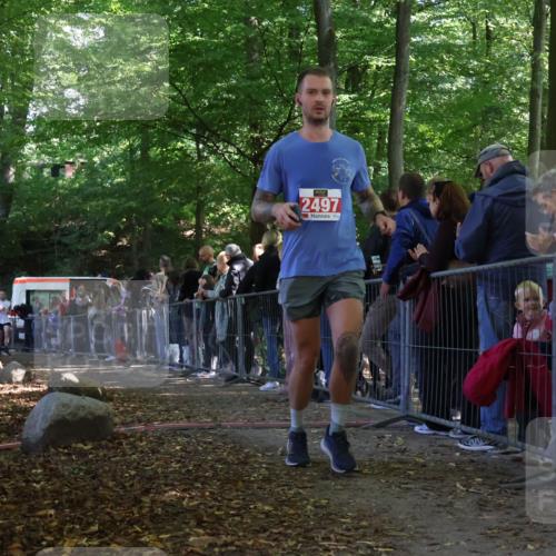 28.09.2025 - 33. Volkslauf durch das schöne Alstertal Strokosch-Dieckow http://msf.ph/oto/8973504 28.09.2025 12:18:36 Ziel 2115, 2497 meine-sportfotos.de
