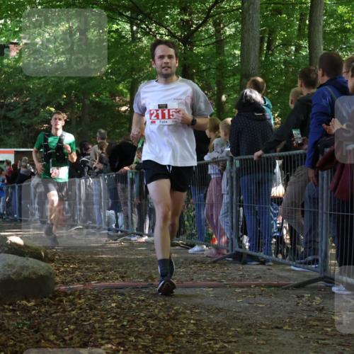 28.09.2025 - 33. Volkslauf durch das schöne Alstertal Strokosch-Dieckow http://msf.ph/oto/8973511 28.09.2025 12:18:45 Ziel 1769, 2115, 2530 meine-sportfotos.de