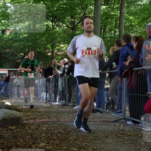 28.09.2025 - 33. Volkslauf durch das schöne Alstertal Strokosch-Dieckow http://msf.ph/oto/8973512 28.09.2025 12:18:45 Ziel 1769, 2115, 2530 meine-sportfotos.de
