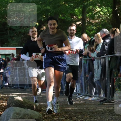 28.09.2025 - 33. Volkslauf durch das schöne Alstertal Strokosch-Dieckow http://msf.ph/oto/8973532 28.09.2025 12:19:09 Ziel 1040, 1731, 2126, 2127, 2380, 2503 meine-sportfotos.de