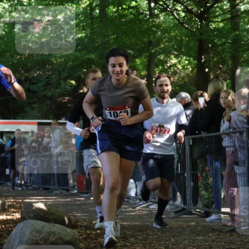 28.09.2025 - 33. Volkslauf durch das schöne Alstertal Strokosch-Dieckow http://msf.ph/oto/8973533 28.09.2025 12:19:10 Ziel 1040, 1731, 2119, 2126, 2127, 2380, 2503 meine-sportfotos.de