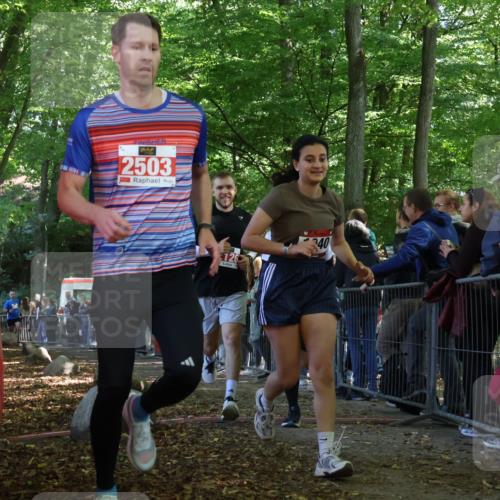 28.09.2025 - 33. Volkslauf durch das schöne Alstertal Strokosch-Dieckow http://msf.ph/oto/8973535 28.09.2025 12:19:11 Ziel 1731, 2119, 2126, 2127, 2380 meine-sportfotos.de