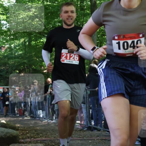 28.09.2025 - 33. Volkslauf durch das schöne Alstertal Strokosch-Dieckow http://msf.ph/oto/8973537 28.09.2025 12:19:11 Ziel 1731, 2119, 2126, 2127, 2380 meine-sportfotos.de