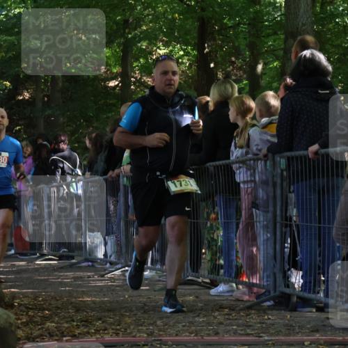 28.09.2025 - 33. Volkslauf durch das schöne Alstertal Strokosch-Dieckow http://msf.ph/oto/8973539 28.09.2025 12:19:16 Ziel 1731, 2119, 2380 meine-sportfotos.de