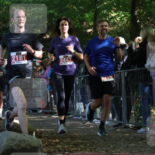 28.09.2025 - 33. Volkslauf durch das schöne Alstertal Strokosch-Dieckow http://msf.ph/oto/8973551 28.09.2025 12:19:32 Ziel 1087, 1629, 2181, 2215, 2447 meine-sportfotos.de