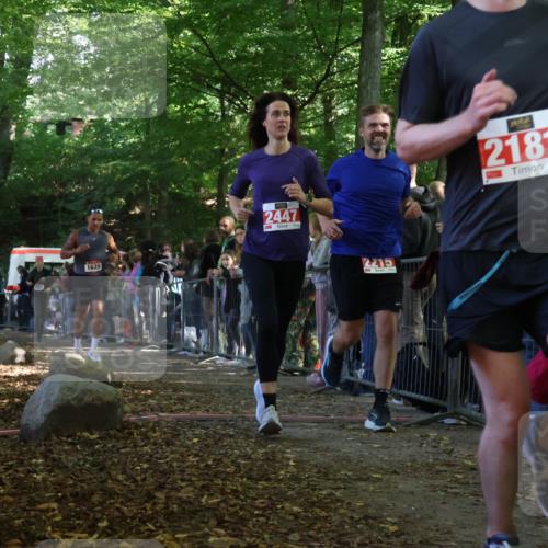 28.09.2025 - 33. Volkslauf durch das schöne Alstertal Strokosch-Dieckow http://msf.ph/oto/8973554 28.09.2025 12:19:33 Ziel 1087, 1629, 2181, 2215, 2447 meine-sportfotos.de