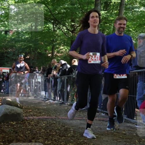 28.09.2025 - 33. Volkslauf durch das schöne Alstertal Strokosch-Dieckow http://msf.ph/oto/8973555 28.09.2025 12:19:34 Ziel 1087, 1629, 2215, 2447 meine-sportfotos.de