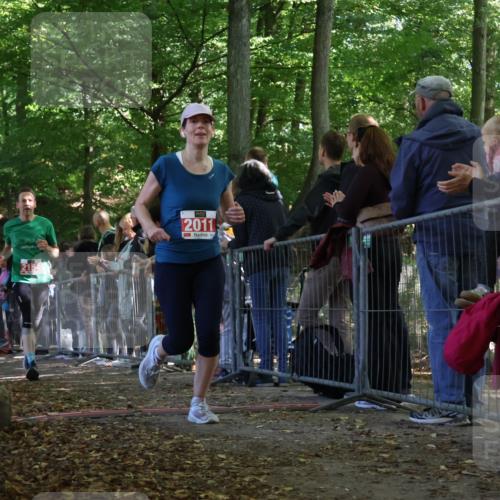 28.09.2025 - 33. Volkslauf durch das schöne Alstertal Strokosch-Dieckow http://msf.ph/oto/8973573 28.09.2025 12:19:51 Ziel 2011, 2154, 2421, 2993 meine-sportfotos.de
