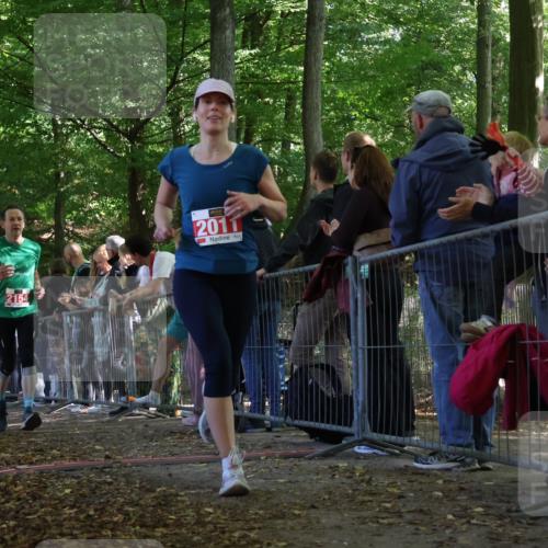28.09.2025 - 33. Volkslauf durch das schöne Alstertal Strokosch-Dieckow http://msf.ph/oto/8973574 28.09.2025 12:19:51 Ziel 2011, 2154, 2421, 2993 meine-sportfotos.de