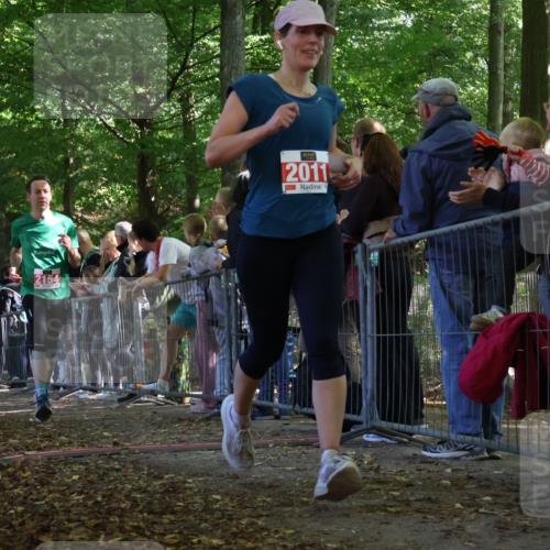 28.09.2025 - 33. Volkslauf durch das schöne Alstertal Strokosch-Dieckow http://msf.ph/oto/8973575 28.09.2025 12:19:51 Ziel 2011, 2154, 2421, 2993 meine-sportfotos.de