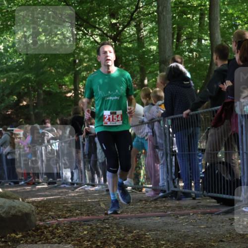 28.09.2025 - 33. Volkslauf durch das schöne Alstertal Strokosch-Dieckow http://msf.ph/oto/8973576 28.09.2025 12:19:52 Ziel 2154, 2421, 2993 meine-sportfotos.de