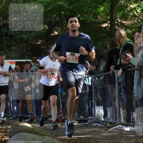 28.09.2025 - 33. Volkslauf durch das schöne Alstertal Strokosch-Dieckow http://msf.ph/oto/8973581 28.09.2025 12:19:57 Ziel 1079, 2421, 2993 meine-sportfotos.de