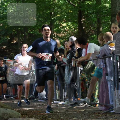 28.09.2025 - 33. Volkslauf durch das schöne Alstertal Strokosch-Dieckow http://msf.ph/oto/8973582 28.09.2025 12:19:58 Ziel 1079, 2421, 2993 meine-sportfotos.de