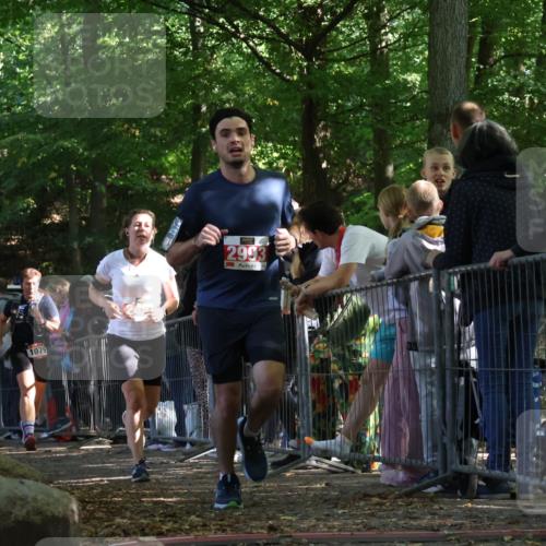 28.09.2025 - 33. Volkslauf durch das schöne Alstertal Strokosch-Dieckow http://msf.ph/oto/8973583 28.09.2025 12:19:58 Ziel 1079, 2421, 2993 meine-sportfotos.de