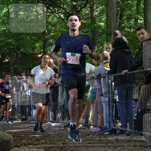28.09.2025 - 33. Volkslauf durch das schöne Alstertal Strokosch-Dieckow http://msf.ph/oto/8973584 28.09.2025 12:19:59 Ziel 1079, 2421, 2993 meine-sportfotos.de