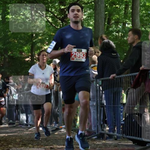 28.09.2025 - 33. Volkslauf durch das schöne Alstertal Strokosch-Dieckow http://msf.ph/oto/8973585 28.09.2025 12:19:59 Ziel 1079, 2421, 2993 meine-sportfotos.de