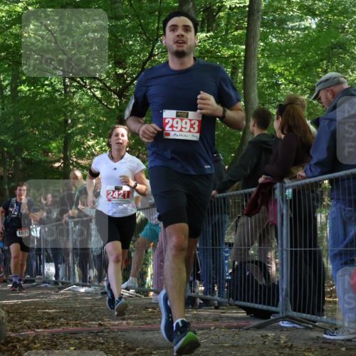 28.09.2025 - 33. Volkslauf durch das schöne Alstertal Strokosch-Dieckow http://msf.ph/oto/8973586 28.09.2025 12:19:59 Ziel 1079, 2421, 2993 meine-sportfotos.de