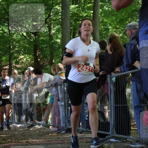 28.09.2025 - 33. Volkslauf durch das schöne Alstertal Strokosch-Dieckow http://msf.ph/oto/8973588 28.09.2025 12:20:00 Ziel 1079, 2421, 2993 meine-sportfotos.de
