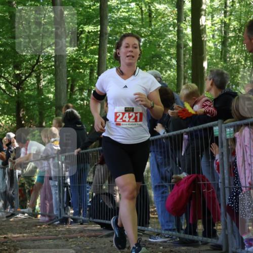 28.09.2025 - 33. Volkslauf durch das schöne Alstertal Strokosch-Dieckow http://msf.ph/oto/8973589 28.09.2025 12:20:01 Ziel 1079, 2252, 2421 meine-sportfotos.de