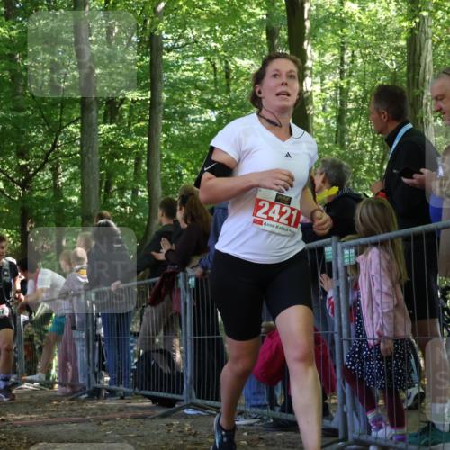 28.09.2025 - 33. Volkslauf durch das schöne Alstertal Strokosch-Dieckow http://msf.ph/oto/8973590 28.09.2025 12:20:01 Ziel 1079, 2252, 2421 meine-sportfotos.de