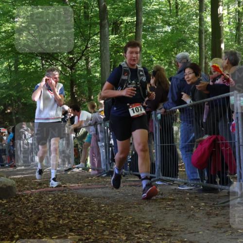 28.09.2025 - 33. Volkslauf durch das schöne Alstertal Strokosch-Dieckow http://msf.ph/oto/8973593 28.09.2025 12:20:03 Ziel 1079, 2252, 2582 meine-sportfotos.de